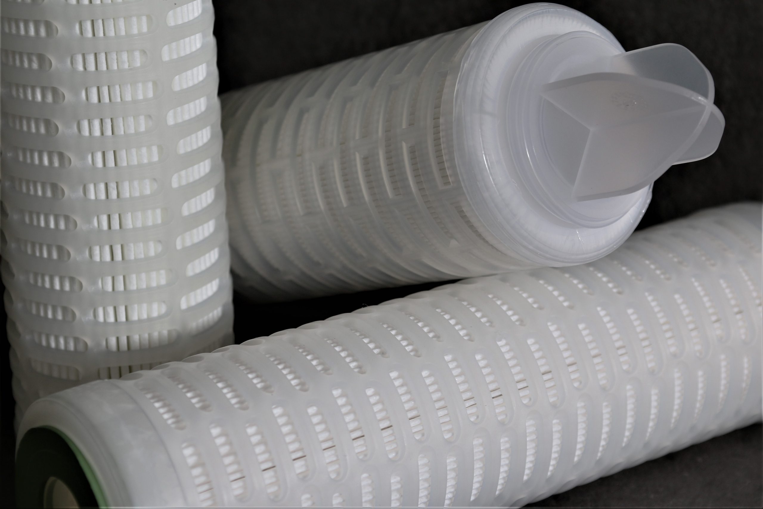 Cryptosporidium EC FDA - Pleated Filter Cartridge