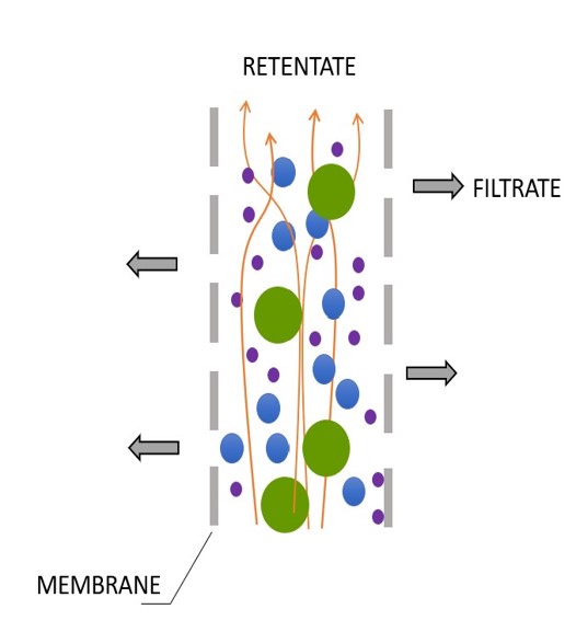 Crossflow filtration diagram