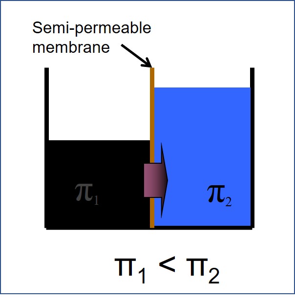 Osmosis diagram 1