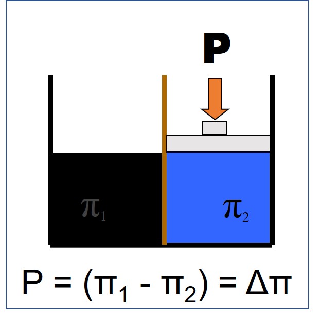 Osmosis diagram 2