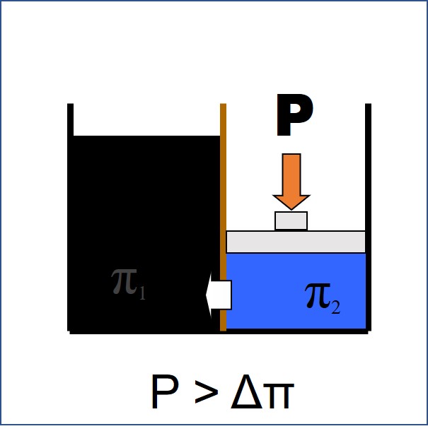 Osmosis diagram 1