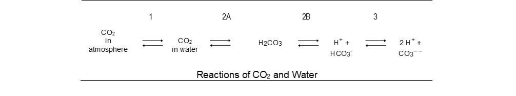 Reactions of CO2 and Water