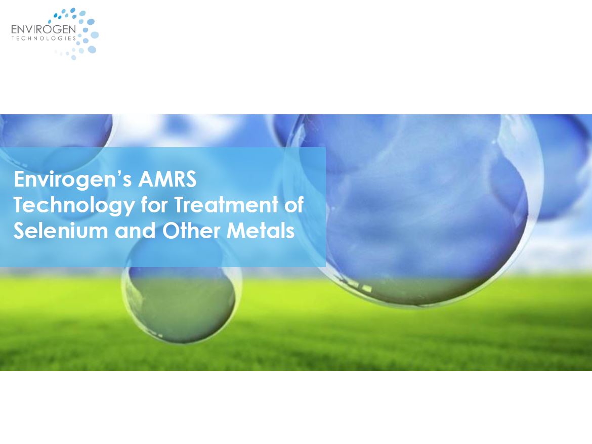 Removal of heavy metals from wastewater: Envirogen's AMRS technology